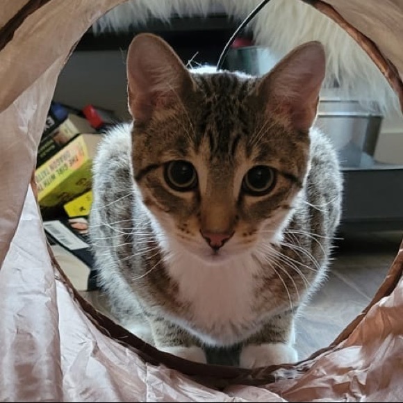 Meet your Posher, Jennifer - Picture 1 of 1